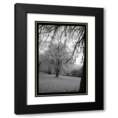 Infra Red Forest I Black Modern Wood Framed Art Print with Double Matting by Comfort, David