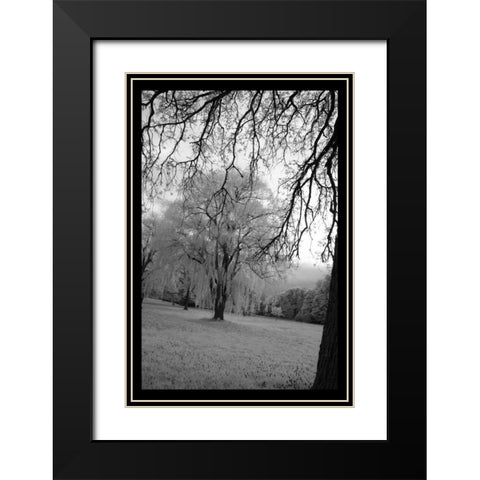 Infra Red Forest I Black Modern Wood Framed Art Print with Double Matting by Comfort, David