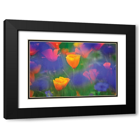 Tulipia Black Modern Wood Framed Art Print with Double Matting by Frates, Dennis