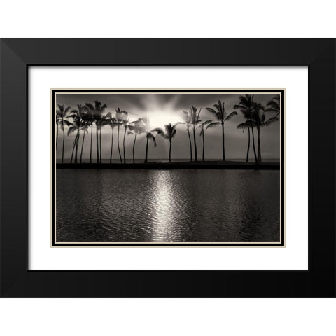 Summer Breezes III Black Modern Wood Framed Art Print with Double Matting by Frates, Dennis