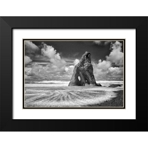 Preservation Black Modern Wood Framed Art Print with Double Matting by Frates, Dennis