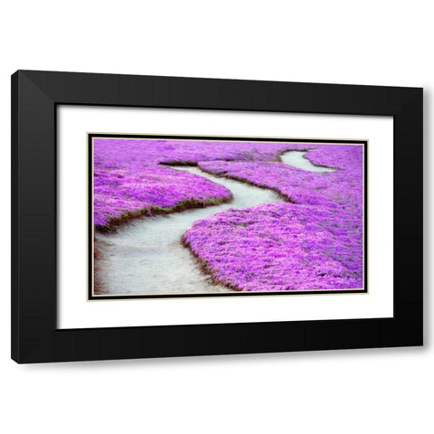 Violet Path Black Modern Wood Framed Art Print with Double Matting by Frates, Dennis