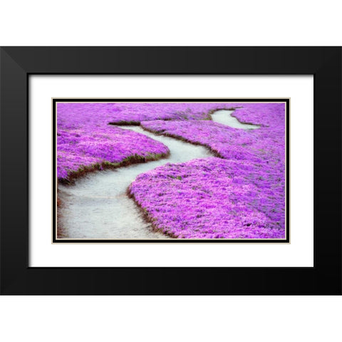 Violet Path Black Modern Wood Framed Art Print with Double Matting by Frates, Dennis