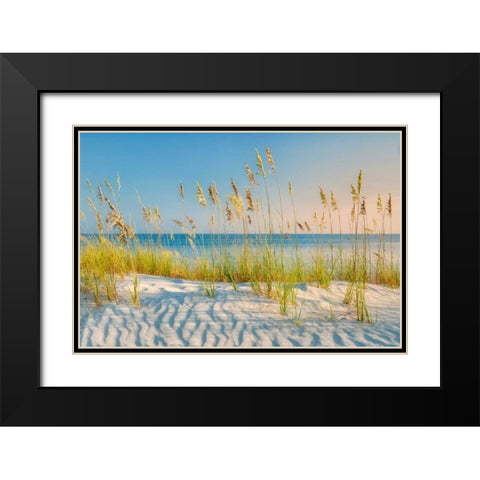 Sea Oats Black Modern Wood Framed Art Print with Double Matting by Frates, Dennis