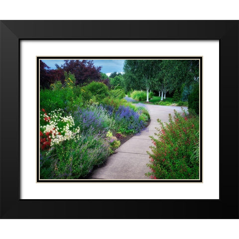 Garden Pathway Black Modern Wood Framed Art Print with Double Matting by Frates, Dennis