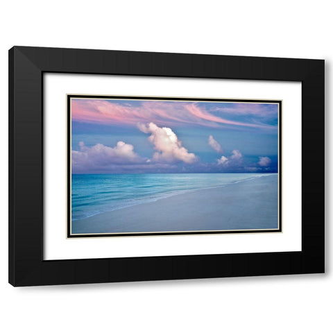 Skyfall II Black Modern Wood Framed Art Print with Double Matting by Frates, Dennis
