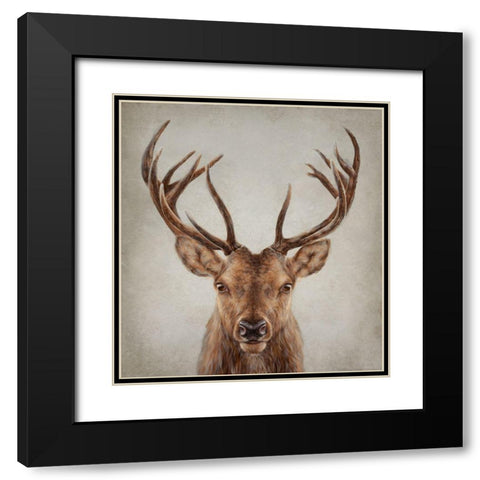 Stag Presence Black Modern Wood Framed Art Print with Double Matting by Perejogina, Dina