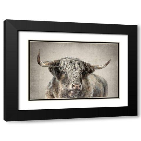 Grand Kyloe Bull  Black Modern Wood Framed Art Print with Double Matting by Perejogina, Dina