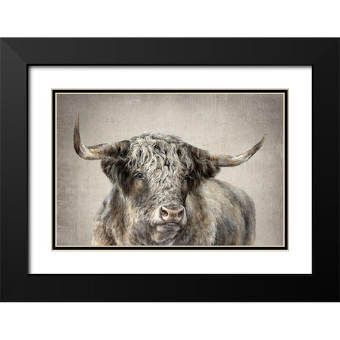 Grand Kyloe Bull  Black Modern Wood Framed Art Print with Double Matting by Perejogina, Dina
