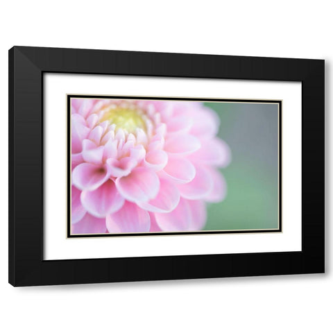 Pink Cups Black Modern Wood Framed Art Print with Double Matting by Kirshner, Dmitry