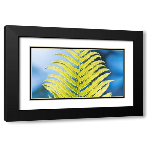 Poise Black Modern Wood Framed Art Print with Double Matting by Kirshner, Dmitry