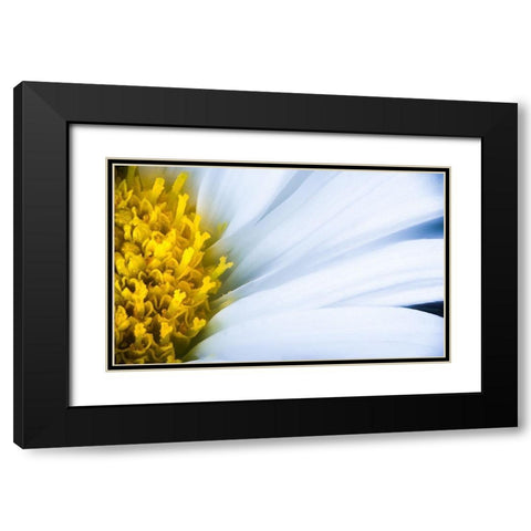 Soft Reach Black Modern Wood Framed Art Print with Double Matting by Kirshner, Dmitry