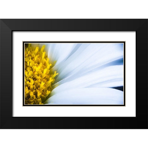 Soft Reach Black Modern Wood Framed Art Print with Double Matting by Kirshner, Dmitry