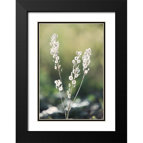 Summer Field Black Modern Wood Framed Art Print with Double Matting by Kirshner, Dmitry