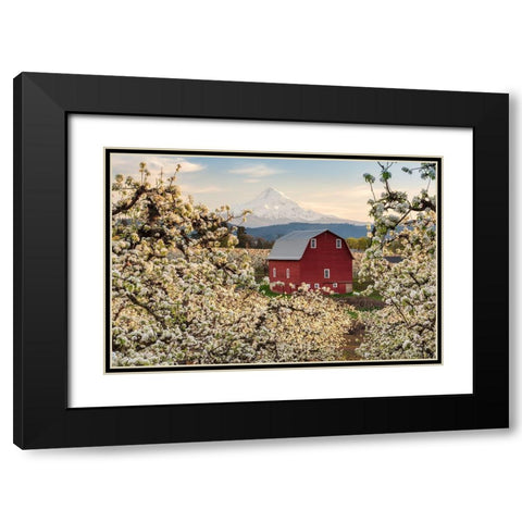 Fairytale Barn Black Modern Wood Framed Art Print with Double Matting by Daultich, Nick