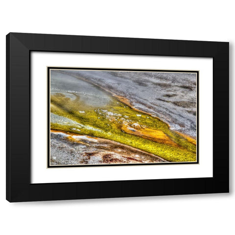 Bacteria I Black Modern Wood Framed Art Print with Double Matting by Dulius, Peter