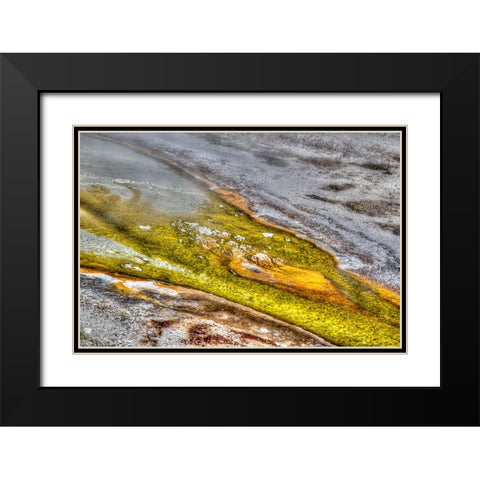 Bacteria I Black Modern Wood Framed Art Print with Double Matting by Dulius, Peter