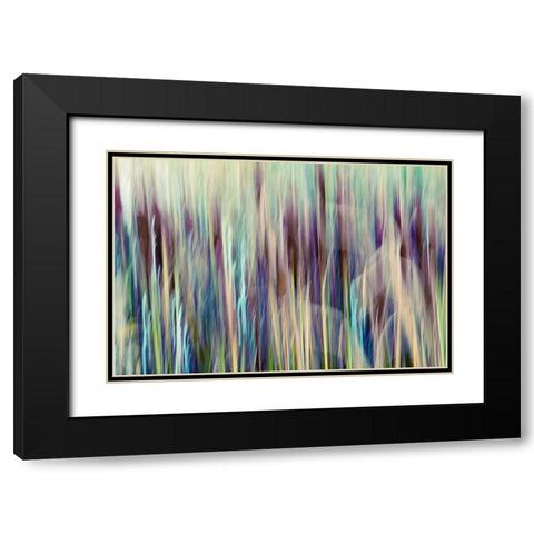 Colors of Canada I Black Modern Wood Framed Art Print with Double Matting by SD Enterprises