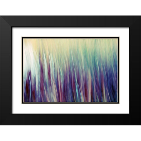 Colors of Canada II Black Modern Wood Framed Art Print with Double Matting by SD Enterprises