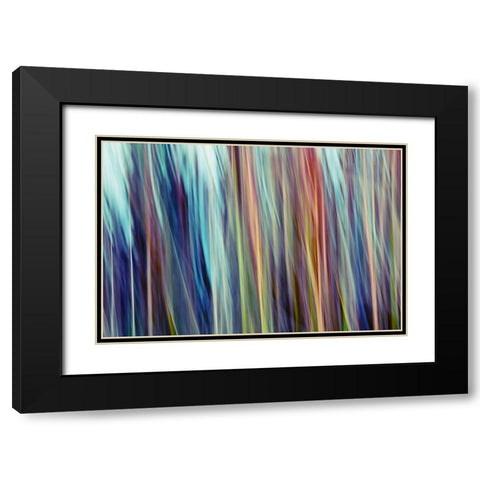 Colors of Canada III Black Modern Wood Framed Art Print with Double Matting by SD Enterprises
