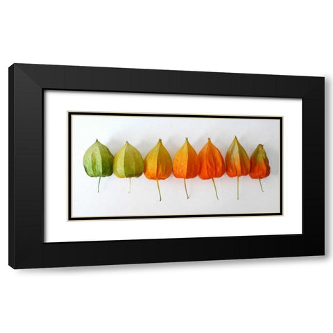 Chinese Lanterns III Black Modern Wood Framed Art Print with Double Matting by Savogne, Daniela