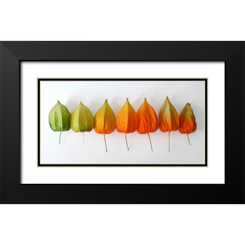 Chinese Lanterns III Black Modern Wood Framed Art Print with Double Matting by Savogne, Daniela