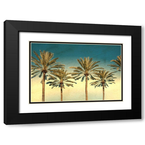 Distressed Palm Trees Black Modern Wood Framed Art Print with Double Matting by Stein, Daniel