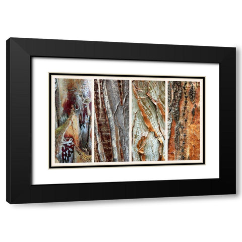 Palm Bark I Black Modern Wood Framed Art Print with Double Matting by Jenney, Jessica