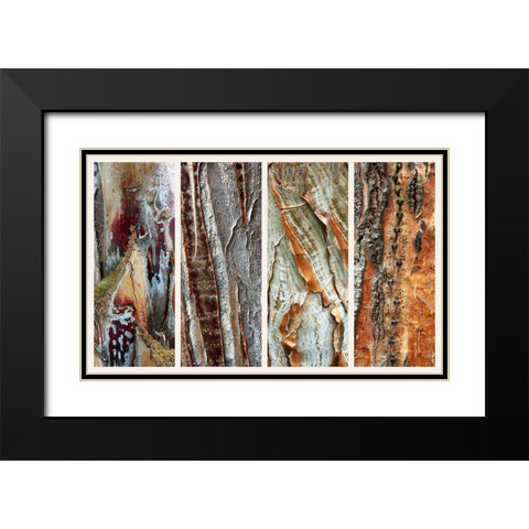 Palm Bark I Black Modern Wood Framed Art Print with Double Matting by Jenney, Jessica