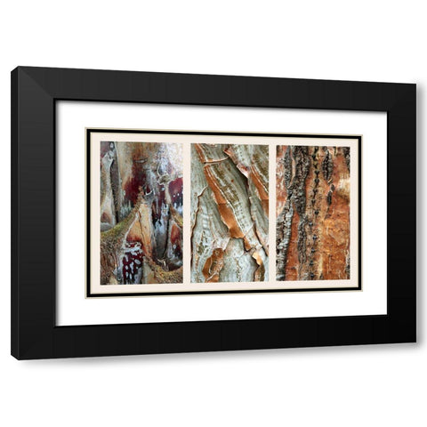 Palm Bark II Black Modern Wood Framed Art Print with Double Matting by Jenney, Jessica