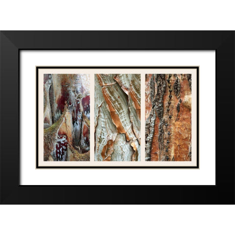 Palm Bark II Black Modern Wood Framed Art Print with Double Matting by Jenney, Jessica