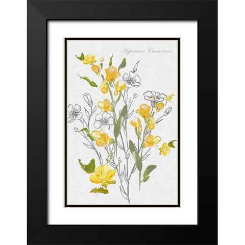 Botantical Yellow Flowers  Black Modern Wood Framed Art Print with Double Matting by Watts, Eva