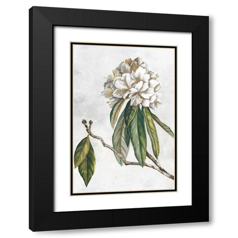 Pearly Beauty II Black Modern Wood Framed Art Print with Double Matting by Watts, Eva