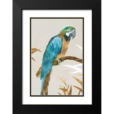 Blue Parrot I Black Modern Wood Framed Art Print with Double Matting by Isabelle Z