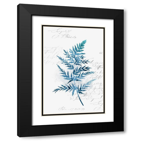 Botanical Blue I  Black Modern Wood Framed Art Print with Double Matting by Isabelle Z