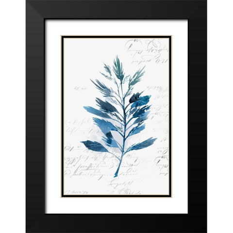 Botanical Blue II  Black Modern Wood Framed Art Print with Double Matting by Isabelle Z