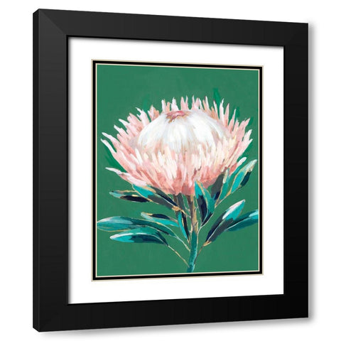 Single King Protea  Black Modern Wood Framed Art Print with Double Matting by Isabelle Z
