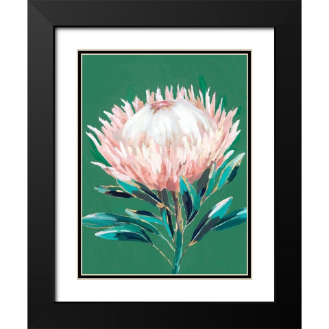 Single King Protea  Black Modern Wood Framed Art Print with Double Matting by Isabelle Z