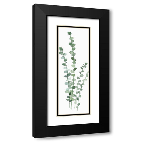Fresh Eucalyptus Black Modern Wood Framed Art Print with Double Matting by Isabelle Z