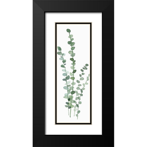 Fresh Eucalyptus Black Modern Wood Framed Art Print with Double Matting by Isabelle Z