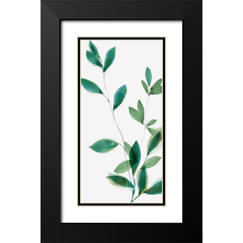 Growing Green I Black Modern Wood Framed Art Print with Double Matting by Isabelle Z