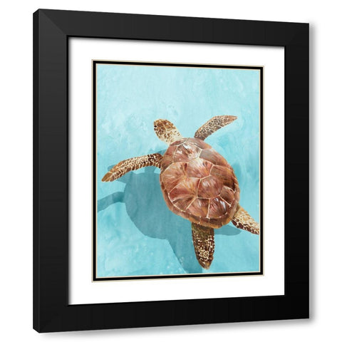 Ocean Deep Turtle II Black Modern Wood Framed Art Print with Double Matting by Isabelle Z
