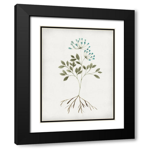 Rooted Floral III Black Modern Wood Framed Art Print with Double Matting by Isabelle Z