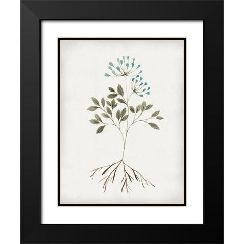Rooted Floral III Black Modern Wood Framed Art Print with Double Matting by Isabelle Z