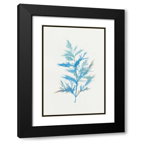 Whimsical Botanical I Black Modern Wood Framed Art Print with Double Matting by Isabelle Z