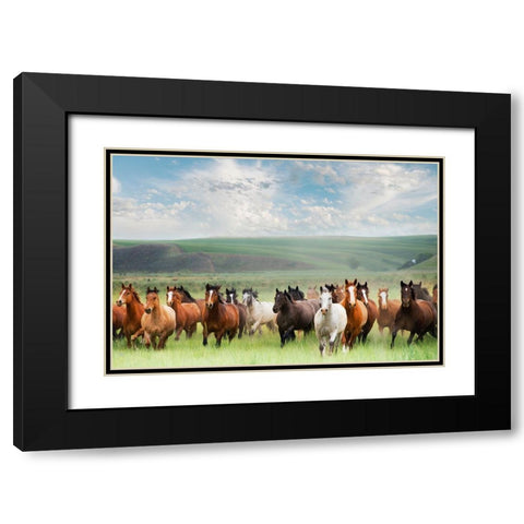 Horse Stampede Black Modern Wood Framed Art Print with Double Matting by Lane, Georgianna