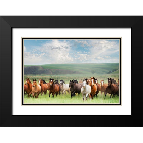 Horse Stampede Black Modern Wood Framed Art Print with Double Matting by Lane, Georgianna