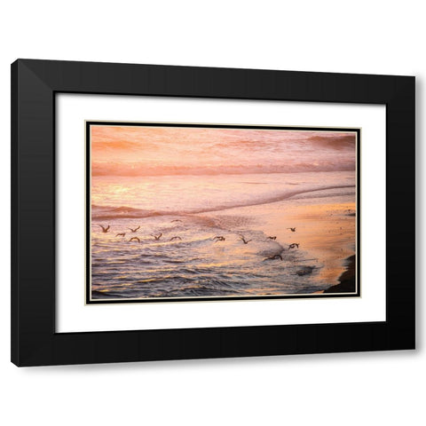 Ocean Beach and Sunset Seagulls Black Modern Wood Framed Art Print with Double Matting by Nature Magick