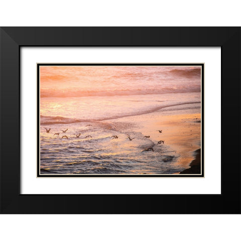 Ocean Beach and Sunset Seagulls Black Modern Wood Framed Art Print with Double Matting by Nature Magick