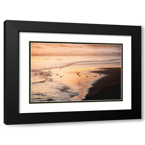 Sunset Seagulls and Pacific Ocean II Black Modern Wood Framed Art Print with Double Matting by Nature Magick